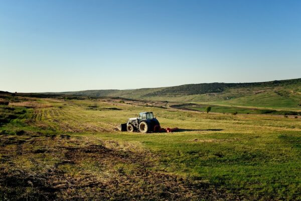 Landwirtschaft